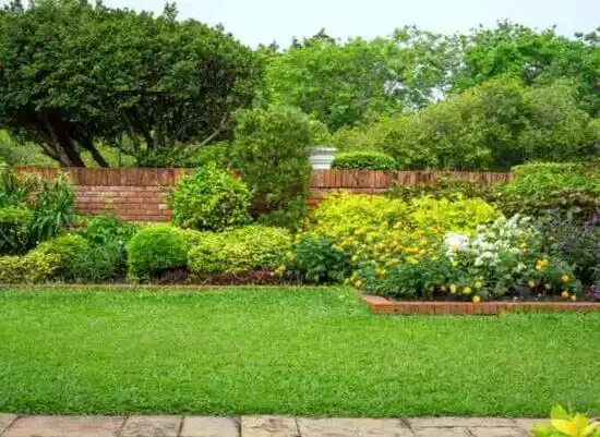 landscaping services Bellevue